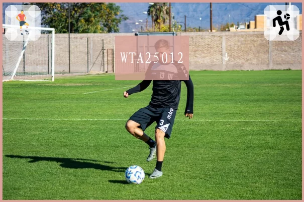 WTA25012