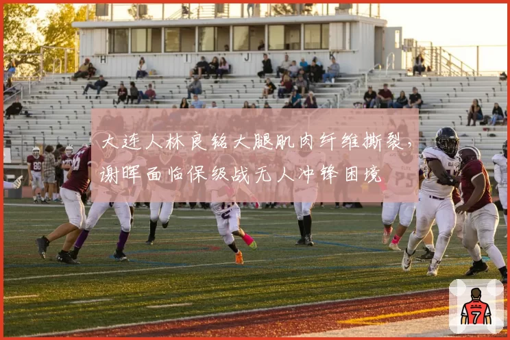 大连人林良铭大腿肌肉纤维撕裂，谢晖面临保级战无人冲锋困境