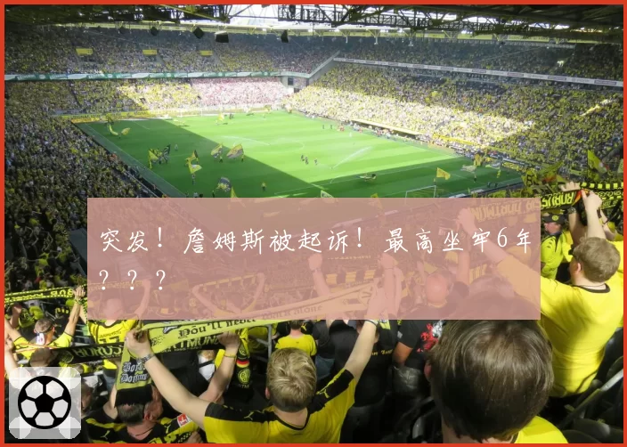 突发!詹姆斯被起诉!最高坐牢6年???