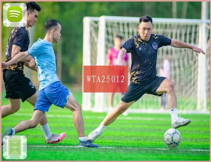 WTA25012
