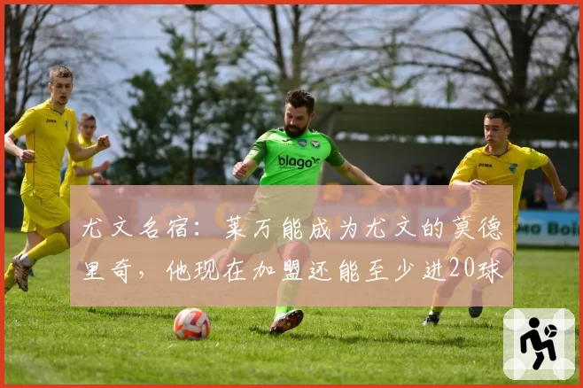 尤文名宿:莱万能成为尤文的莫德里奇,他现在加盟还能至少进20球