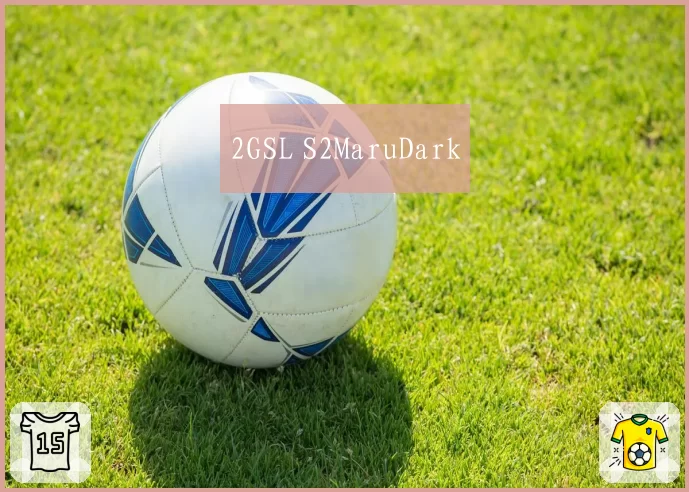 2GSL S2MaruDark